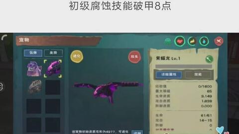 创魔蓝蝠龙资质多少