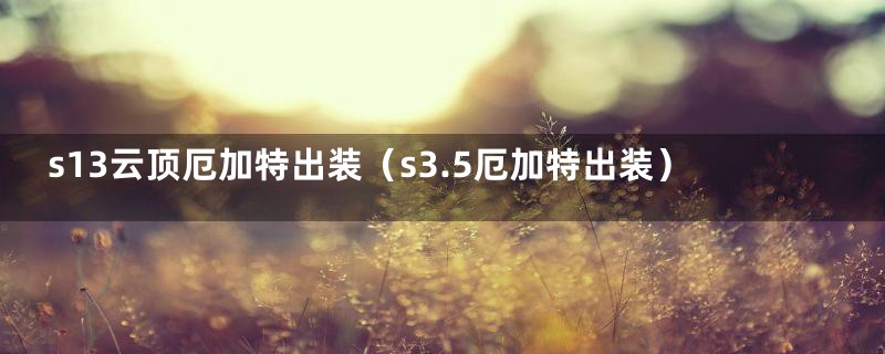 s13云顶厄加特出装(s3.5厄加特出装)