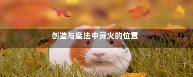 创造与魔法中灵火的位置