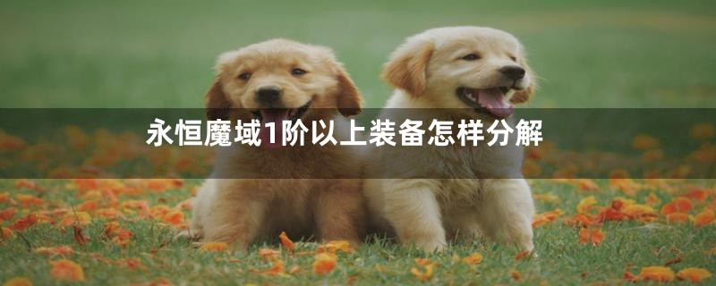 永恒魔域1阶以上装备怎样分解