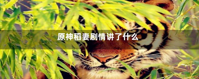 原神稻妻剧情讲了什么
