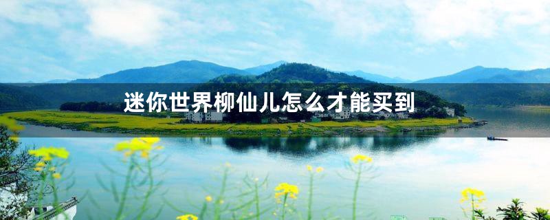 迷你世界柳仙儿怎么才能买到