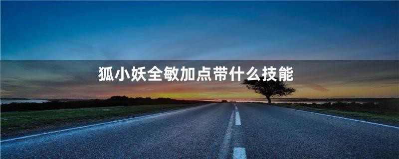 狐小妖全敏加点带什么技能