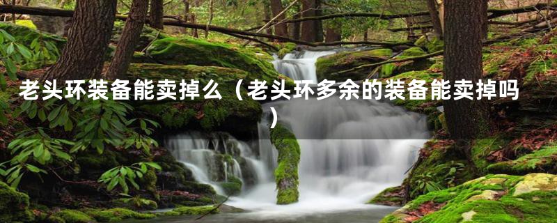 老头环装备能卖掉么(老头环多余的装备能卖掉吗)
