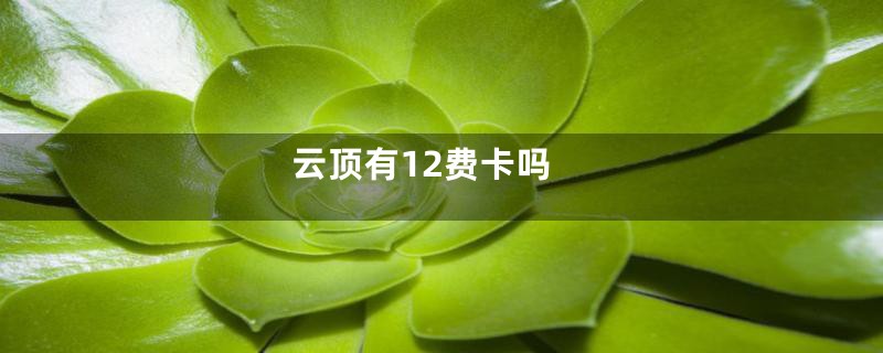 云顶有12费卡吗