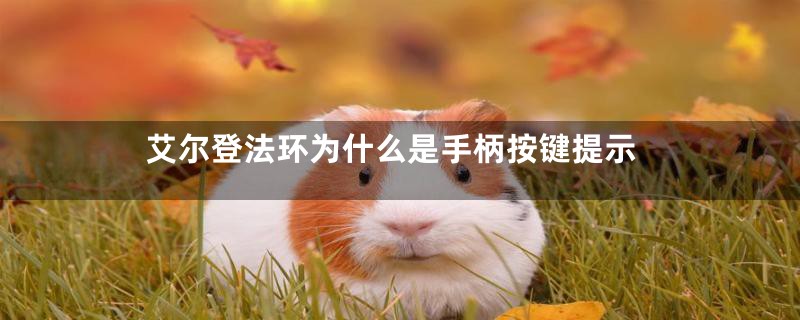 艾尔登法环为什么是手柄按键提示