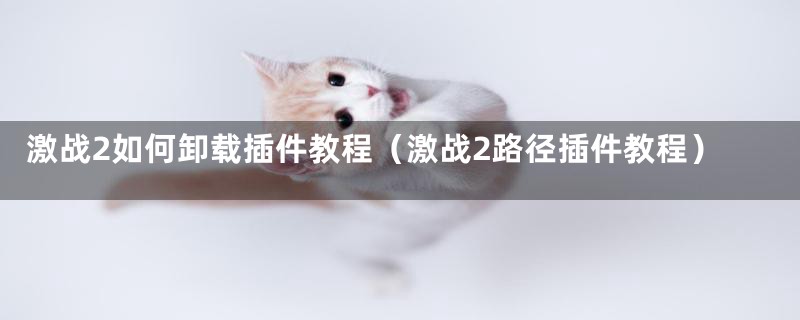 激战2如何卸载插件教程（激战2路径插件教程）