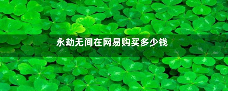永劫无间在网易购买多少钱