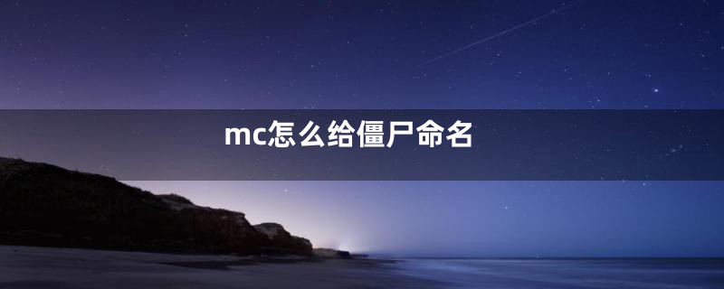 mc怎么给僵尸命名