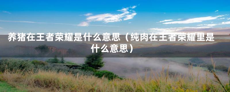 养猪在王者荣耀是什么意思(纯肉在王者荣耀里是什么意思)