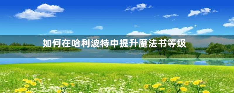 如何在哈利波特中提升魔法书等级