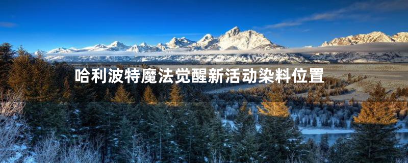 哈利波特魔法觉醒新活动染料位置