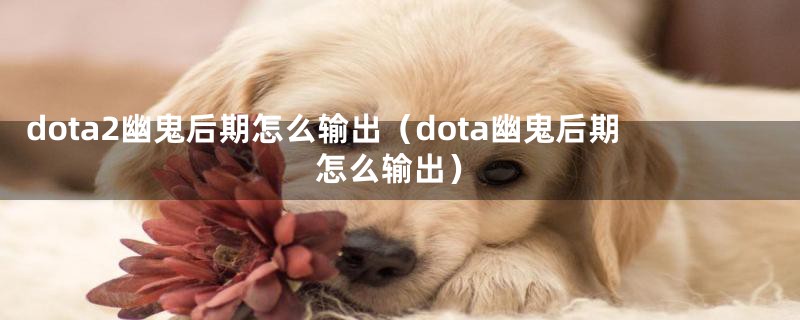 dota2幽鬼后期怎么输出（dota幽鬼后期怎么输出）