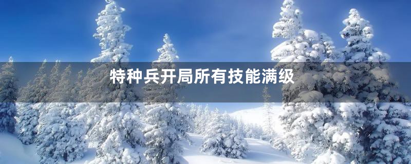 特种兵开局所有技能满级