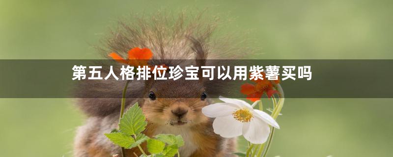 第五人格排位珍宝可以用紫薯买吗