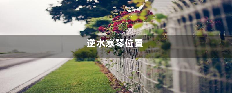 逆水寒琴位置