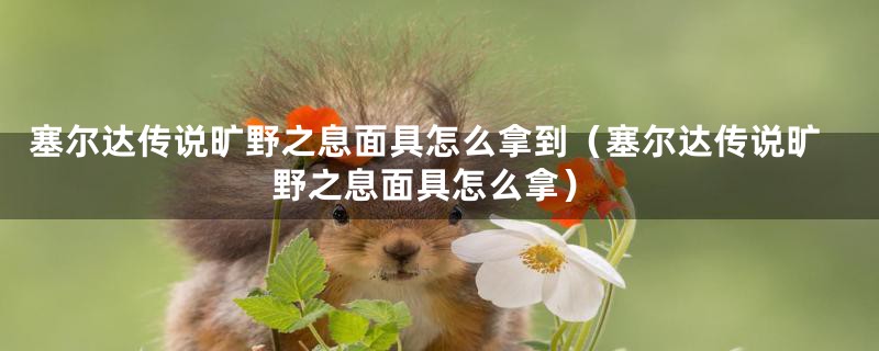 塞尔达传说旷野之息面具怎么拿到（塞尔达传说旷野之息面具怎么拿）