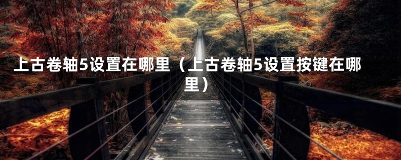 上古卷轴5设置在哪里（上古卷轴5设置按键在哪里）