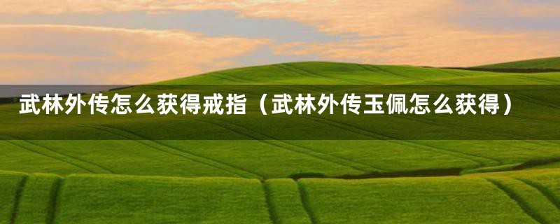 武林外传怎么获得戒指(武林外传玉佩怎么获得)