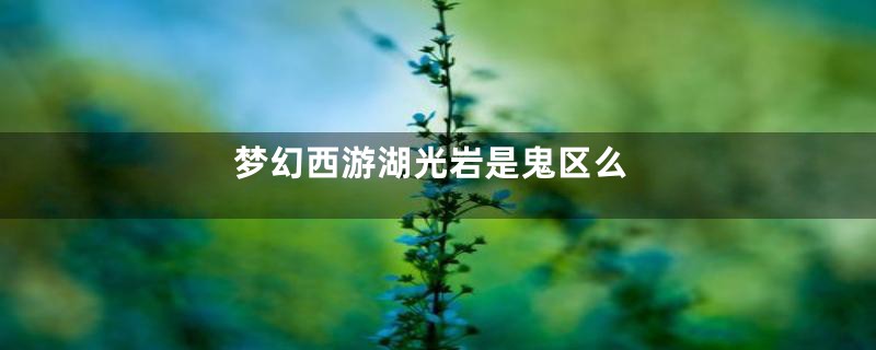 梦幻西游湖光岩是鬼区么