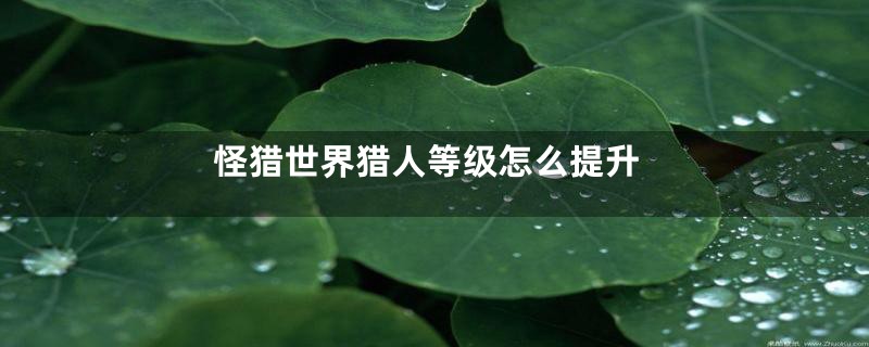 怪猎世界猎人等级怎么提升