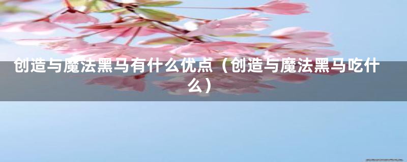 创造与魔法黑马有什么优点(创造与魔法黑马吃什么)