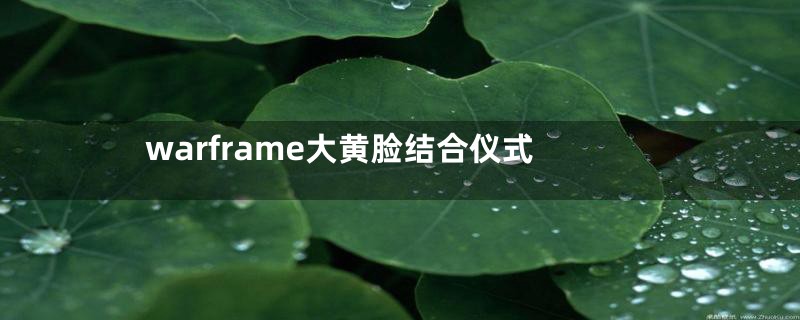 warframe大黄脸结合仪式