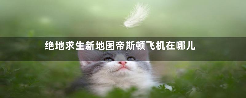 绝地求生新地图帝斯顿飞机在哪儿