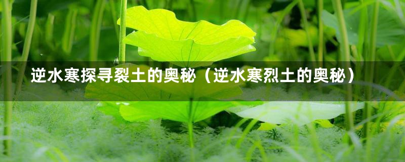 逆水寒探寻裂土的奥秘(逆水寒烈土的奥秘)