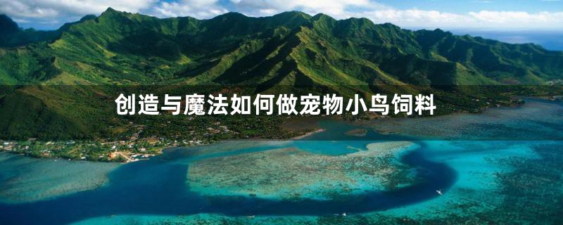 创造与魔法如何做宠物小鸟饲料