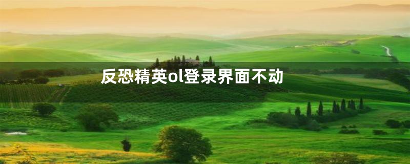 反恐精英ol登录界面不动