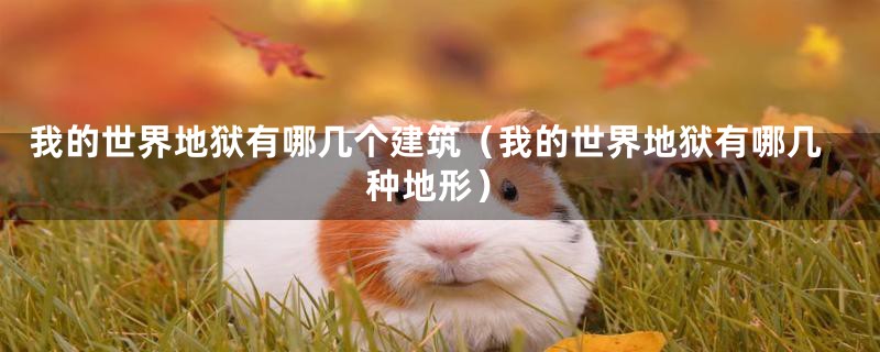 我的世界地狱有哪几个建筑（我的世界地狱有哪几种地形）