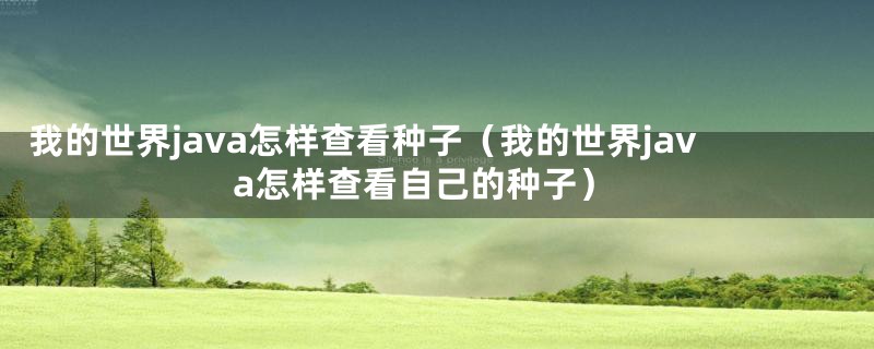 我的世界java怎样查看种子（我的世界java怎样查看自己的种子）