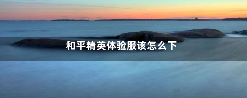 和平精英体验服该怎么下