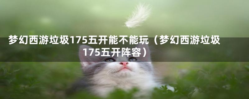 梦幻西游垃圾175五开能不能玩（梦幻西游垃圾175五开阵容）