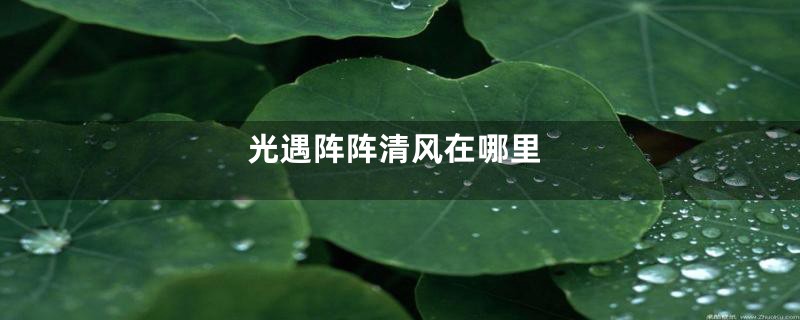 光遇阵阵清风在哪里