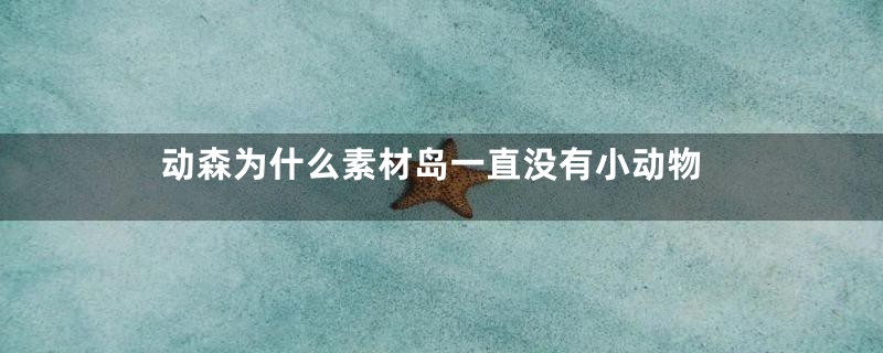 动森为什么素材岛一直没有小动物