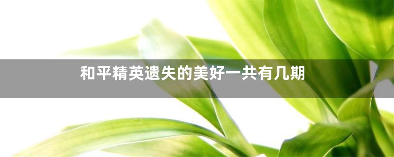 和平精英遗失的美好一共有几期