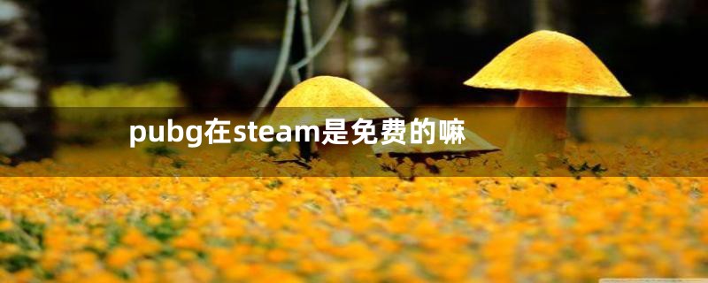 pubg在steam是免费的嘛