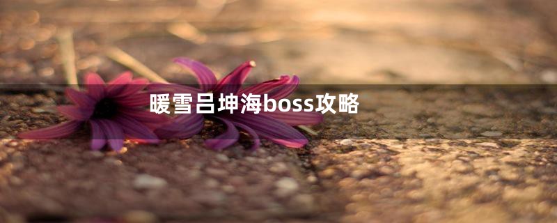暖雪吕坤海boss攻略