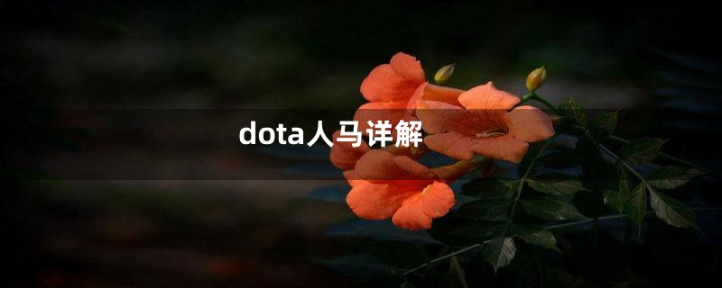dota人马详解