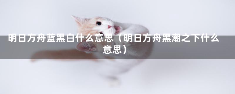 明日方舟蓝黑白什么意思(明日方舟黑潮之下什么意思)