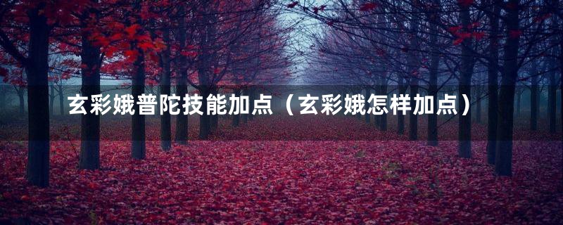 玄彩娥普陀技能加点（玄彩娥怎样加点）