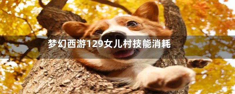 梦幻西游129女儿村技能消耗