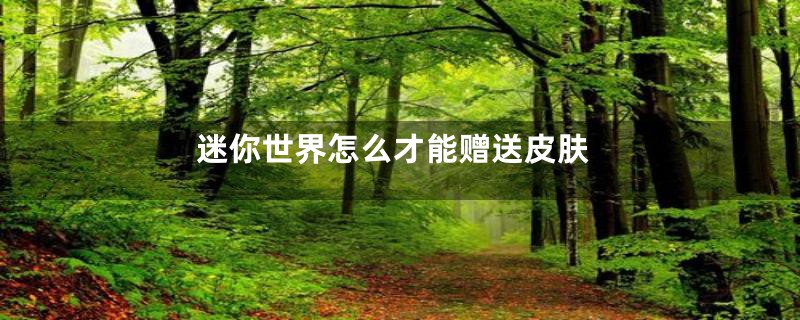 迷你世界怎么才能赠送皮肤