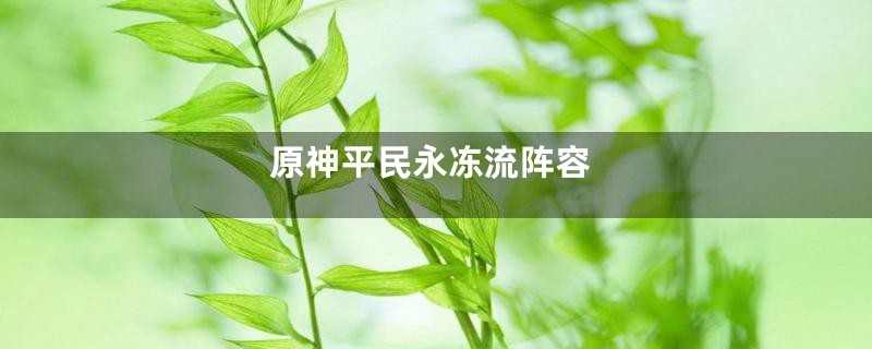 原神平民永冻流阵容
