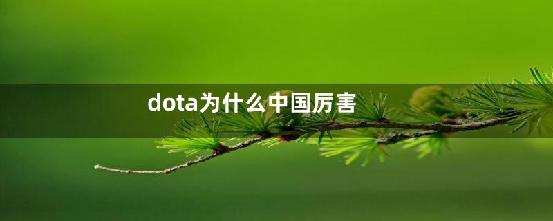 dota为什么中国厉害