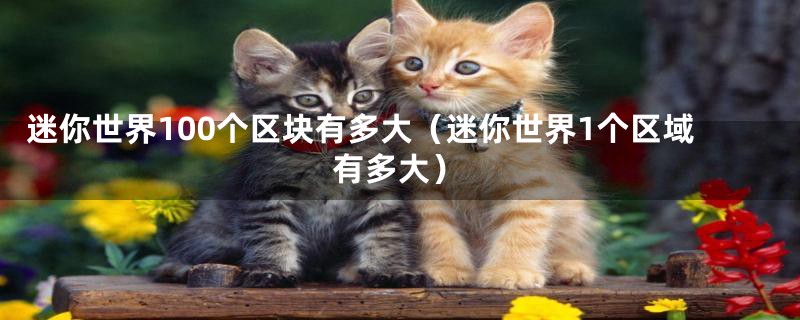 迷你世界100个区块有多大(迷你世界1个区域有多大)