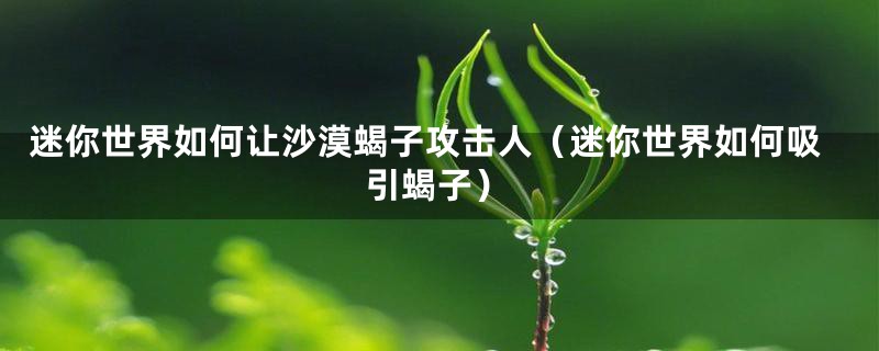 迷你世界如何让沙漠蝎子攻击人（迷你世界如何吸引蝎子）