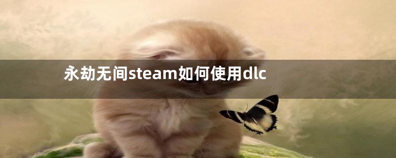 永劫无间steam如何使用dlc